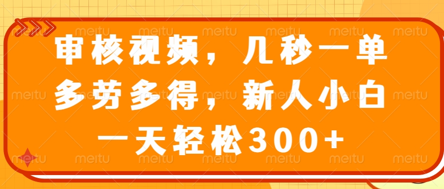 审核视频项目，几秒一单，多劳多得，新人小白一天轻松300+-阿戒项目库