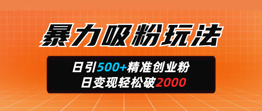 暴力吸粉玩法，日引500+精准创业粉，日变现轻松破2000-阿戒项目库