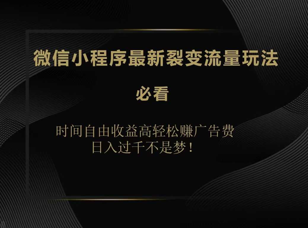 微信小程序最新裂变流量玩法，时间自由收益高轻松赚广告费，日入200-500+-阿戒项目库