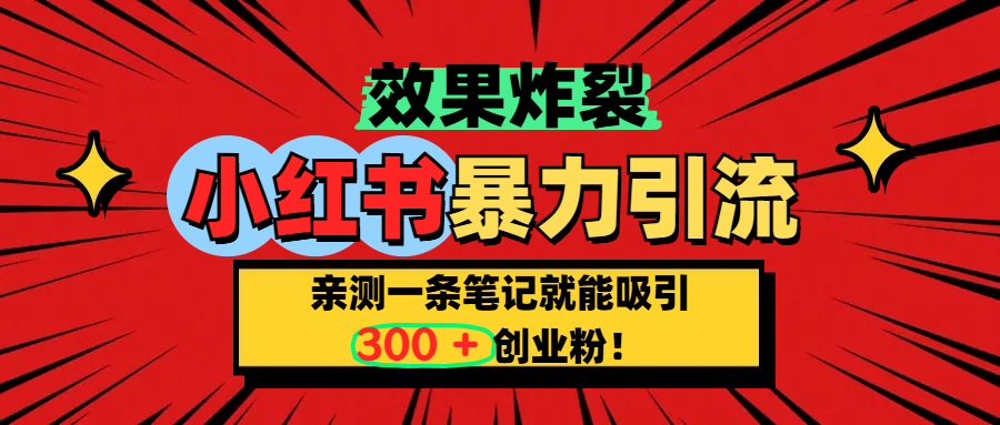 小红书炸裂玩法，亲测一条笔记就能吸引300+精准创业粉！-阿戒项目库