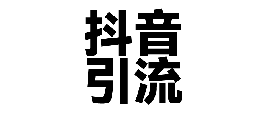 2025年抖音最新暴力引流法，只需一个视频加一段文字，简单操作，单日引300+创业粉-阿戒项目库