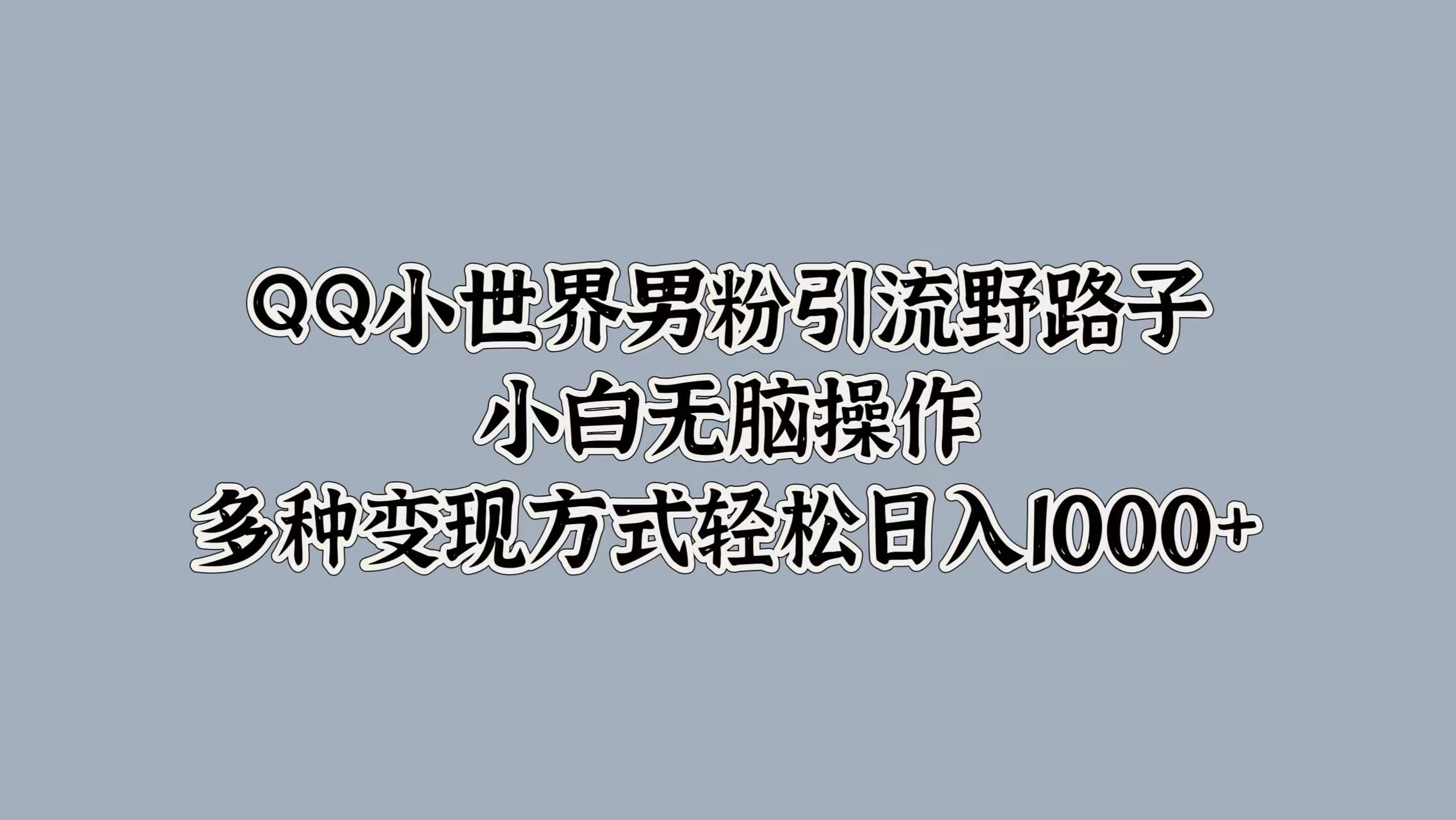 QQ小世界男粉引流野路子，小白无脑操作，多种变现方式轻松日入1000+-阿戒项目库