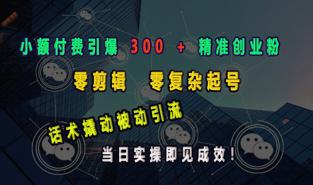 小额付费引爆 300 + 精准创业粉，零剪辑、零复杂起号，话术撬动被动引流，当日实操即见成效！-阿戒项目库