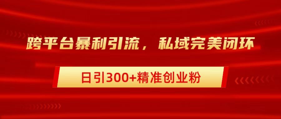 跨平台暴力引流，私域完美闭环，日引300+精准创业粉-阿戒项目库