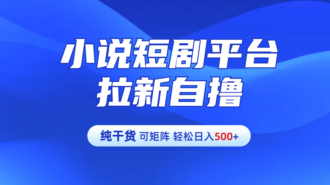 【纯干货】小说短剧平台拉新自撸玩法详解-单人轻松日入500+-阿戒项目库