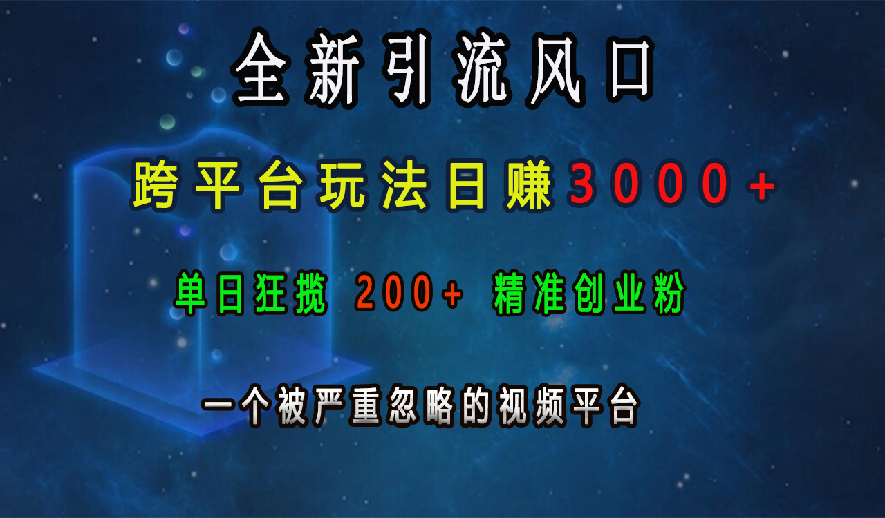 全新引流风口，跨平台玩法日赚3000+，单日狂揽200+精准创业粉，一个被严重忽略的视频平台-阿戒项目库