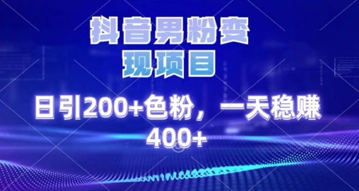 2025最新男粉项目 日引200 轻松月入2w+-阿戒项目库