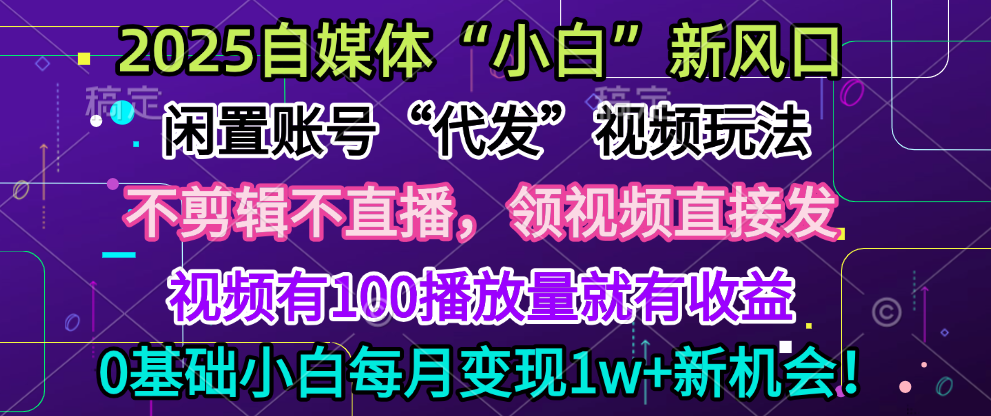 2025每月躺赚5w+新机会，闲置视频账号一键代发玩法，0粉不实名不剪辑，领了视频直接发，0基础小白也能日入300+-阿戒项目库