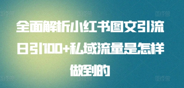 日引流100私域流量小红书图文是怎样做到的全面解析-阿戒项目库