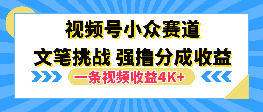 视频号小众赛道，文笔挑战，一条视频收益4K+-阿戒项目库