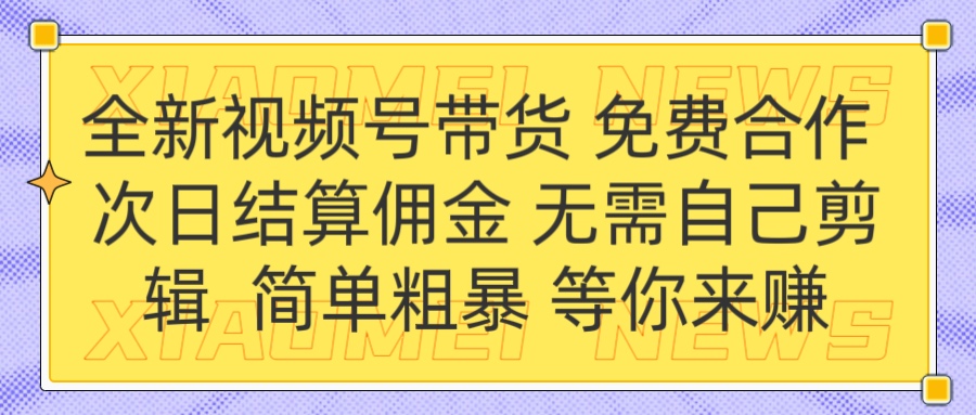 全新视频号 免费合作 佣金次日结算 无需自己剪辑-阿戒项目库