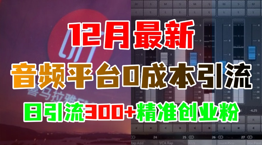 12月最新：音频平台0成本引流，日引300+精准创业粉-阿戒项目库