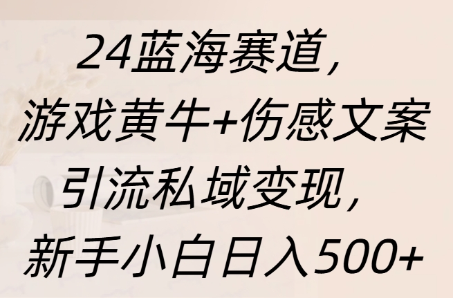 24蓝海赛道，游戏黄牛+伤感文案引流私域变现，新手日入500+-阿戒项目库