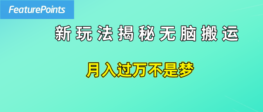 简单操作，每天50美元收入，搬运就是赚钱的秘诀！-阿戒项目库