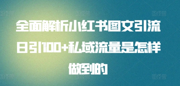 暴力引流 小红书图文引流日引100私域全面拆解【打粉人必看】-阿戒项目库