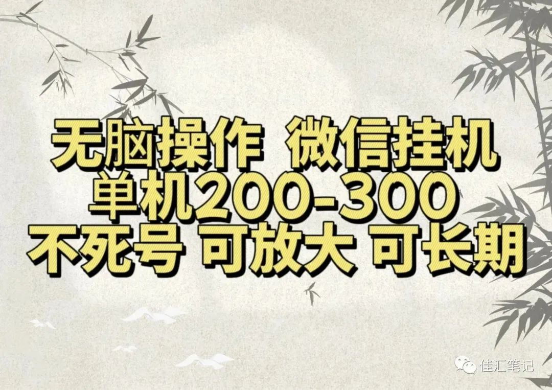 无脑操作微信视频号挂机单机200-300一天，不死号，可放大，工作室实测-阿戒项目库