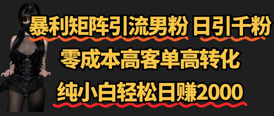 暴利矩阵引流男粉（日引千粉），零成本高客单高转化，纯小白轻松日赚2000+-阿戒项目库