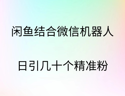 闲鱼结合微信机器人，日引几十个精准粉-阿戒项目库