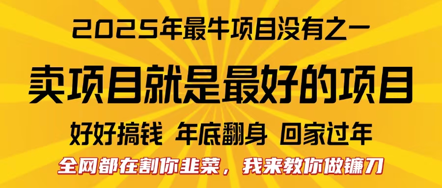 全网都在割你韭菜，我来教你做镰刀。卖项目就是最好的项目，2025年最牛互联网项目-阿戒项目库