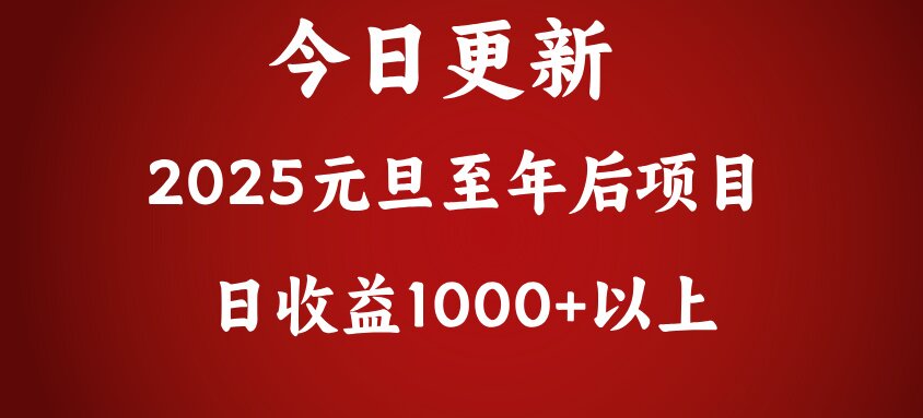 翻身项目，日收益1000+以上-阿戒项目库