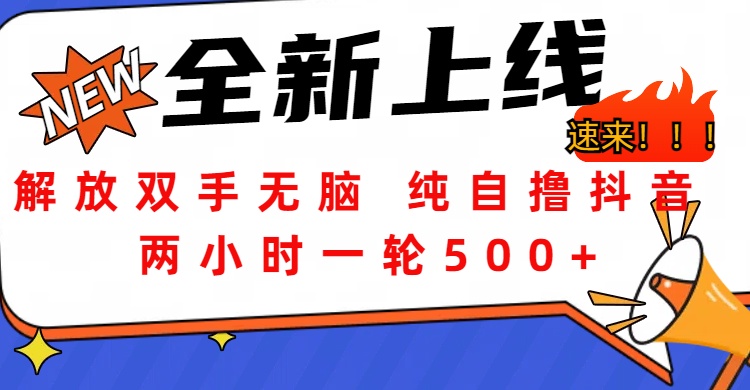 解放双手无脑 纯自撸抖音 两小时一轮500+-阿戒项目库