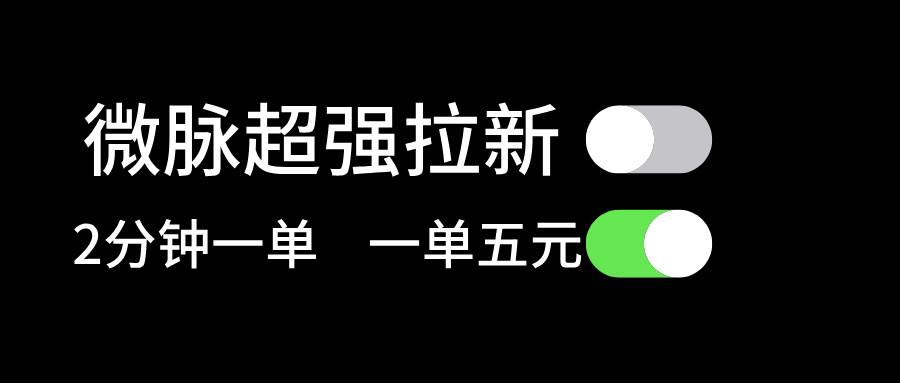 微脉超强拉新， 两分钟1单， 一单利润5块，适合小白-阿戒项目库