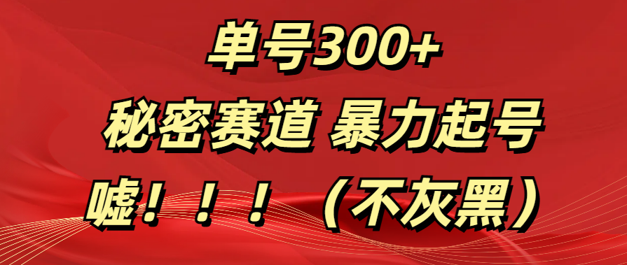 单号300+  秘密赛道 暴力起号  （不灰黑）-阿戒项目库