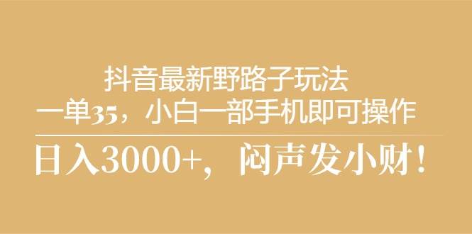 抖音最新野路子玩法，一单35，小白一部手机即可操作，，日入3000+，闷…-阿戒项目库