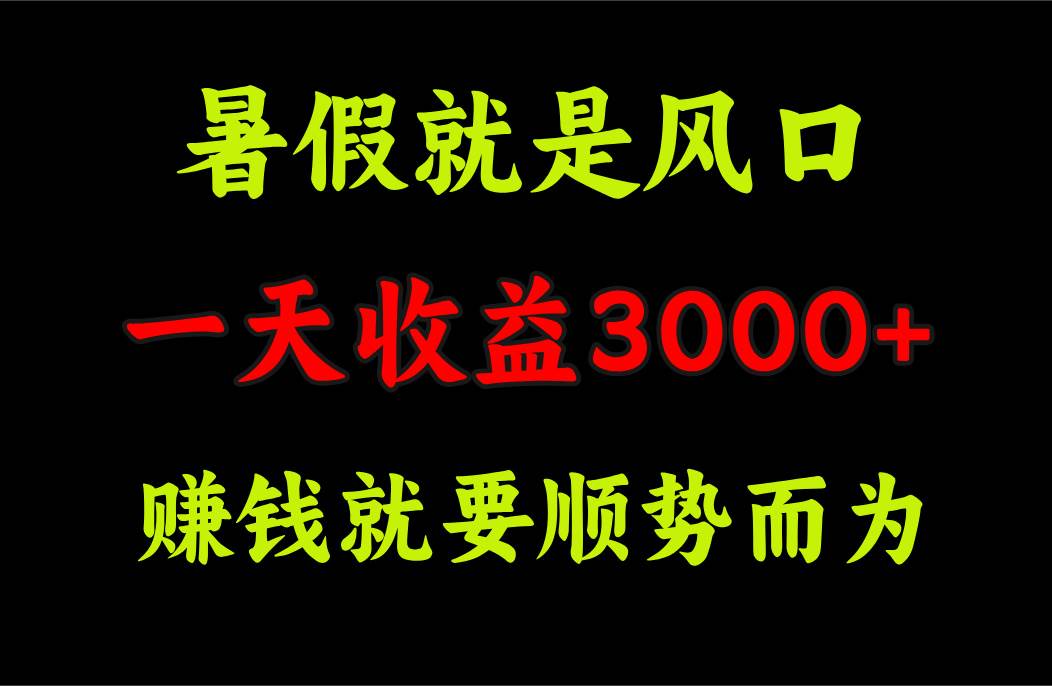 一天收益3000+ 赚钱就是顺势而为，暑假就是风口-阿戒项目库