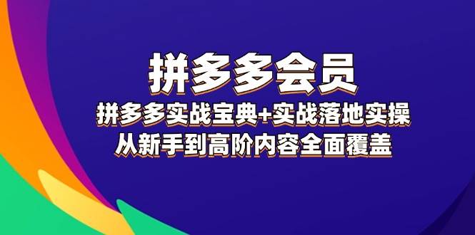 拼多多 会员，拼多多实战宝典+实战落地实操，从新手到高阶内容全面覆盖-阿戒项目库