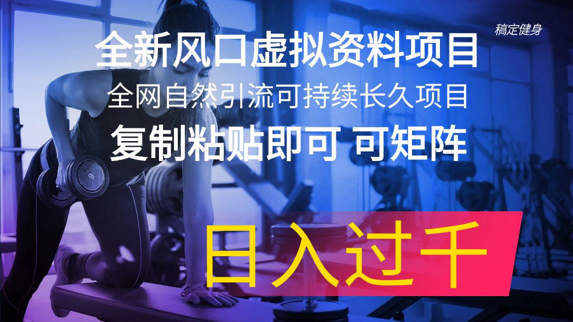 全新风口虚拟资料项目 全网自然引流可持续长久项目 复制粘贴即可可矩阵…-阿戒项目库