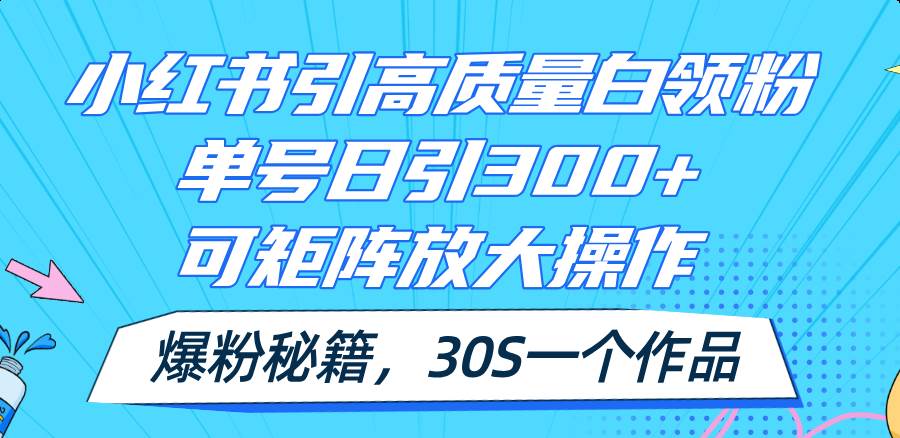 小红书引高质量白领粉，单号日引300+，可放大操作，爆粉秘籍！30s一个作品-阿戒项目库