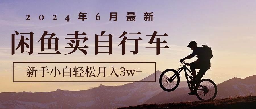 2024年6月最新闲鱼卖自行车，新手小白轻松月入3w+项目-阿戒项目库