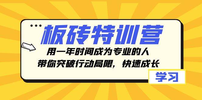 板砖特训营，用一年时间成为专业的人，带你突破行动局限，快速成长-阿戒项目库