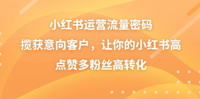 小红书运营流量密码，揽获意向客户，让你的小红书高点赞多粉丝高转化-阿戒项目库