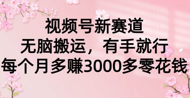 视频号新赛道，无脑搬运，有手就行，每个月多赚3000多零花钱-阿戒项目库