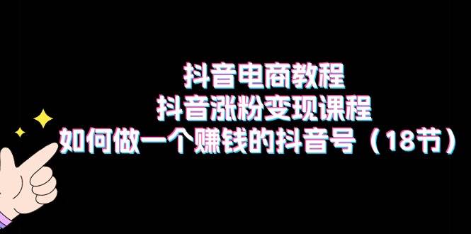 抖音电商教程：抖音涨粉变现课程：如何做一个赚钱的抖音号（18节）-阿戒项目库